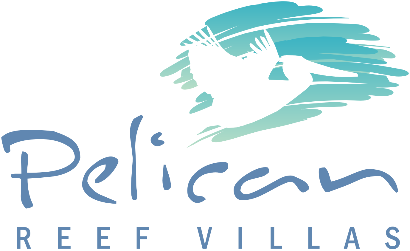 Pelican Flow Logo